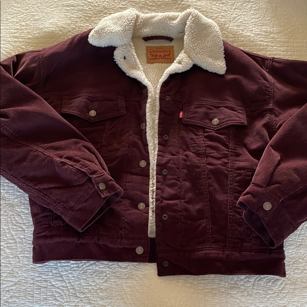 Levi's Brown and White Jean Jacket with Sherpa Lining